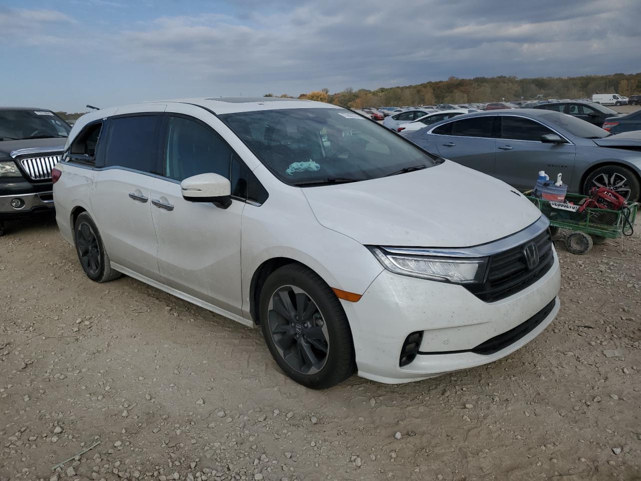 Lot #2945862703 2024 HONDA ODYSSEY EL