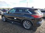 Lot #2991617146 2021 INFINITI QX50 LUXE