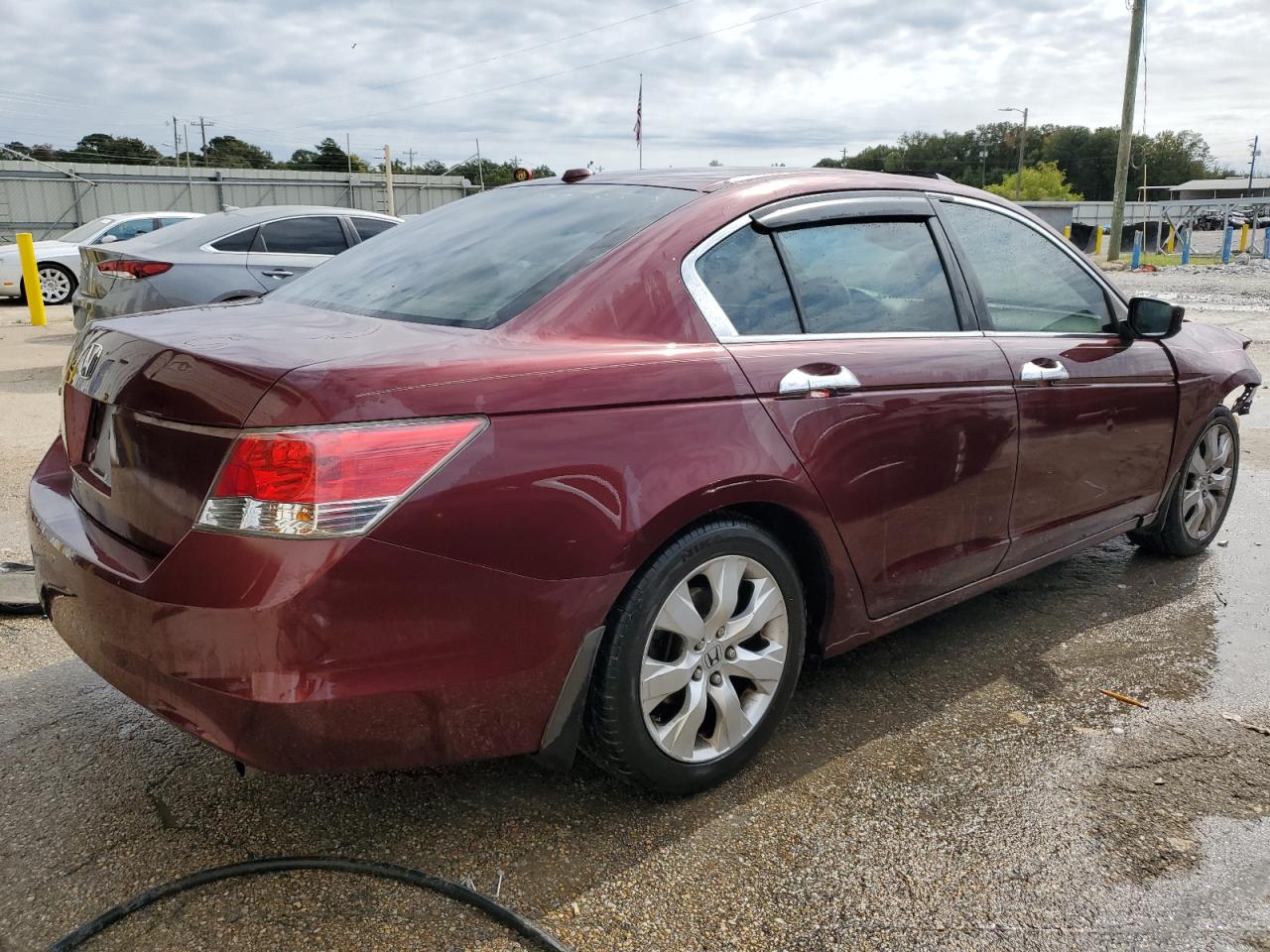 Lot #2956338005 2008 HONDA ACCORD EXL