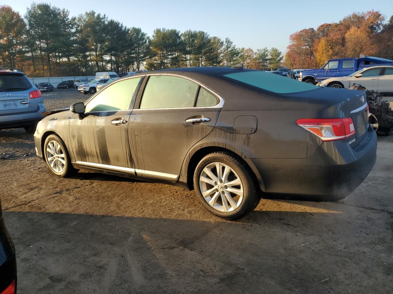 Lot #2962573798 2010 LEXUS ES 350