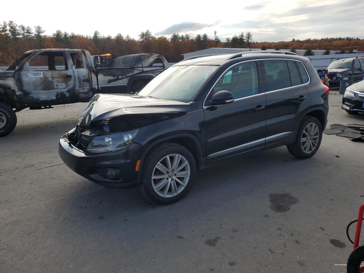 Lot #2972475798 2013 VOLKSWAGEN TIGUAN S