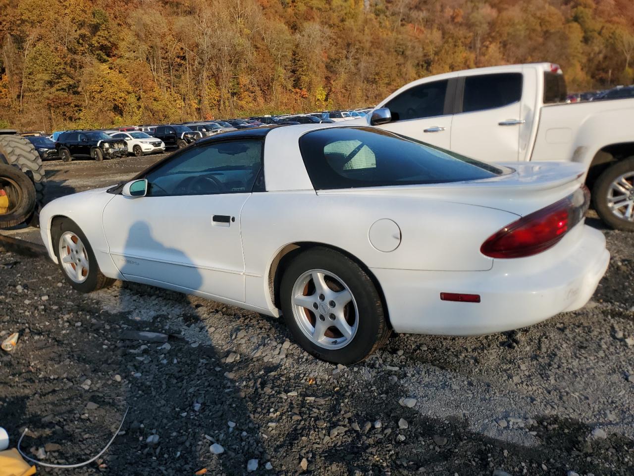 Lot #3003897566 1997 PONTIAC FIREBIRD