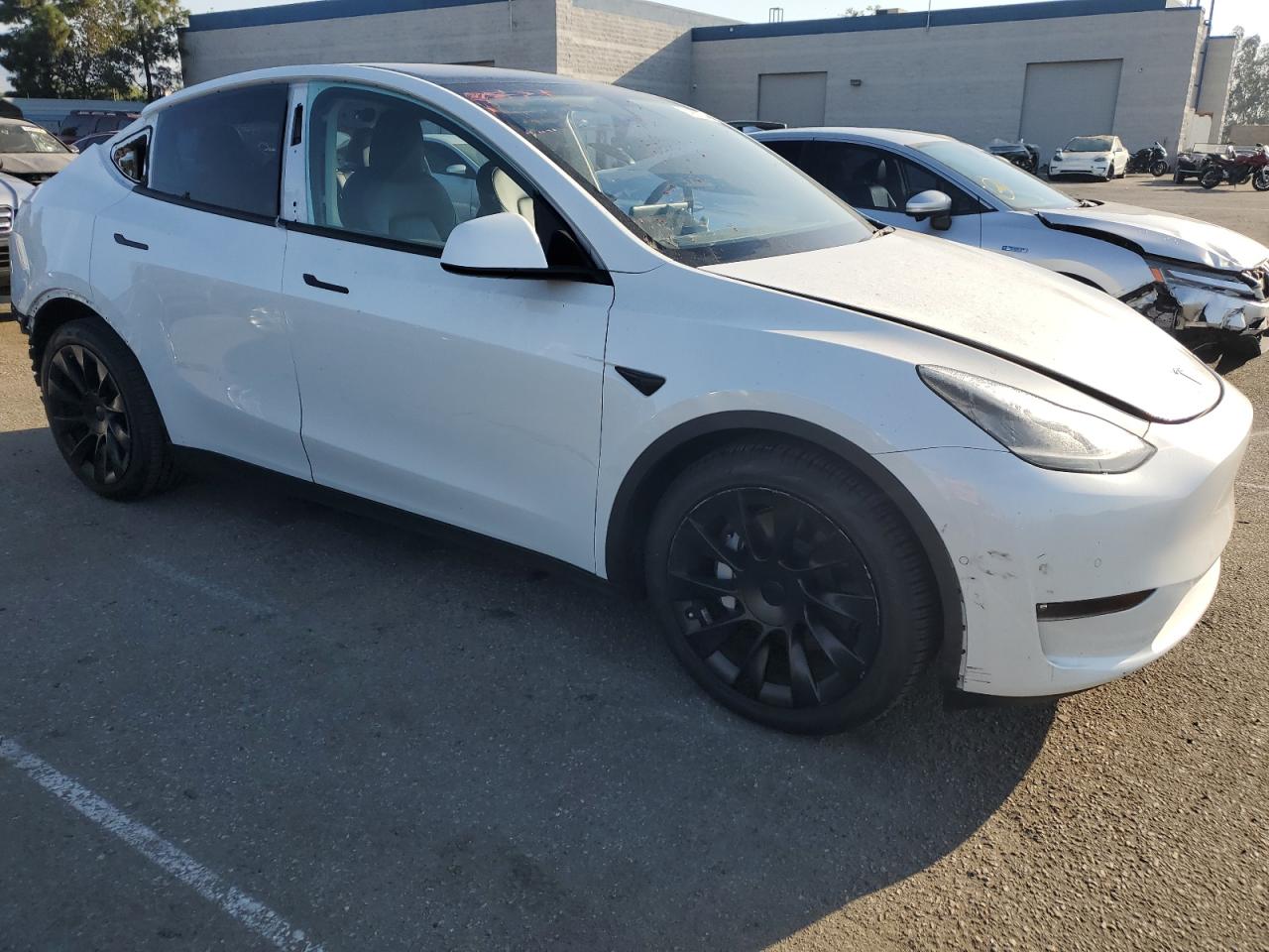 Lot #2974377477 2021 TESLA MODEL Y