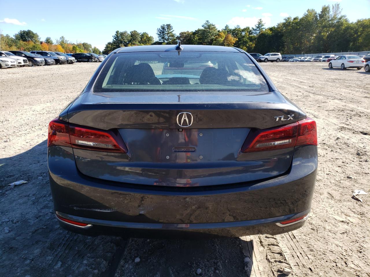 Lot #2996561685 2015 ACURA TLX TECH