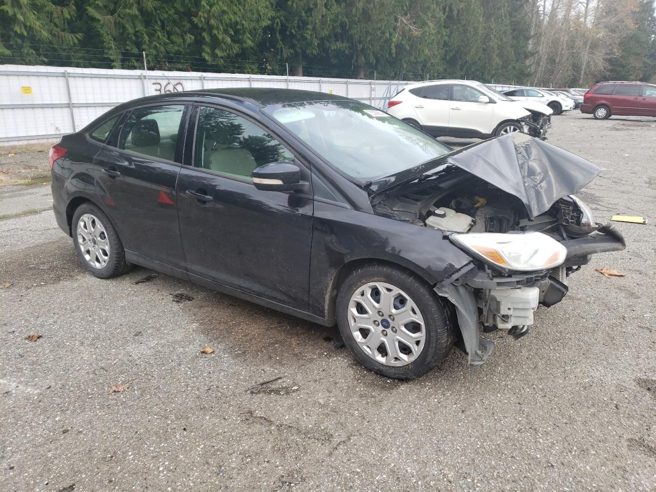 Lot #2989373694 2012 FORD FOCUS SE