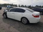 HONDA ACCORD EXL photo