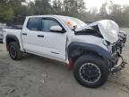 Lot #3023337242 2024 TOYOTA TACOMA DOU