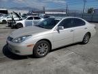 LEXUS ES 300 photo