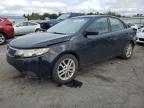 KIA FORTE EX photo