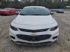 Lot #3024264853 2016 CHEVROLET MALIBU LS