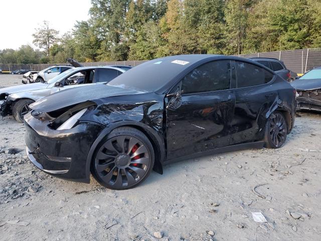 2023 TESLA MODEL Y #3023915271