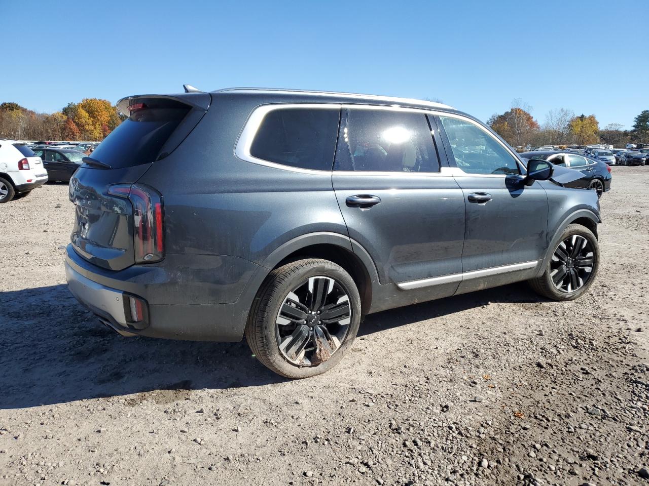 Lot #2991391878 2023 KIA TELLURIDE