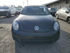 VOLKSWAGEN BEETLE photo