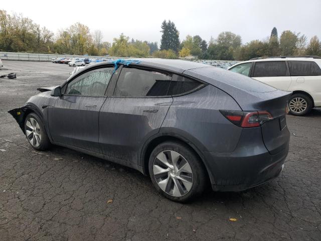 2023 TESLA MODEL Y - 7SAYGDEE7PF809939