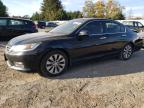 HONDA ACCORD EXL photo