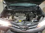 TOYOTA RAV4 XLE photo