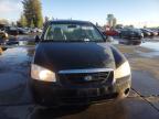 Lot #3024248806 2006 KIA SPECTRA