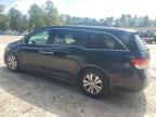 HONDA ODYSSEY EX photo