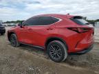 LEXUS NX 250 BAS photo