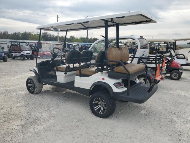 ASPT GOLF CART 2021 white   FLA112996 photo #4