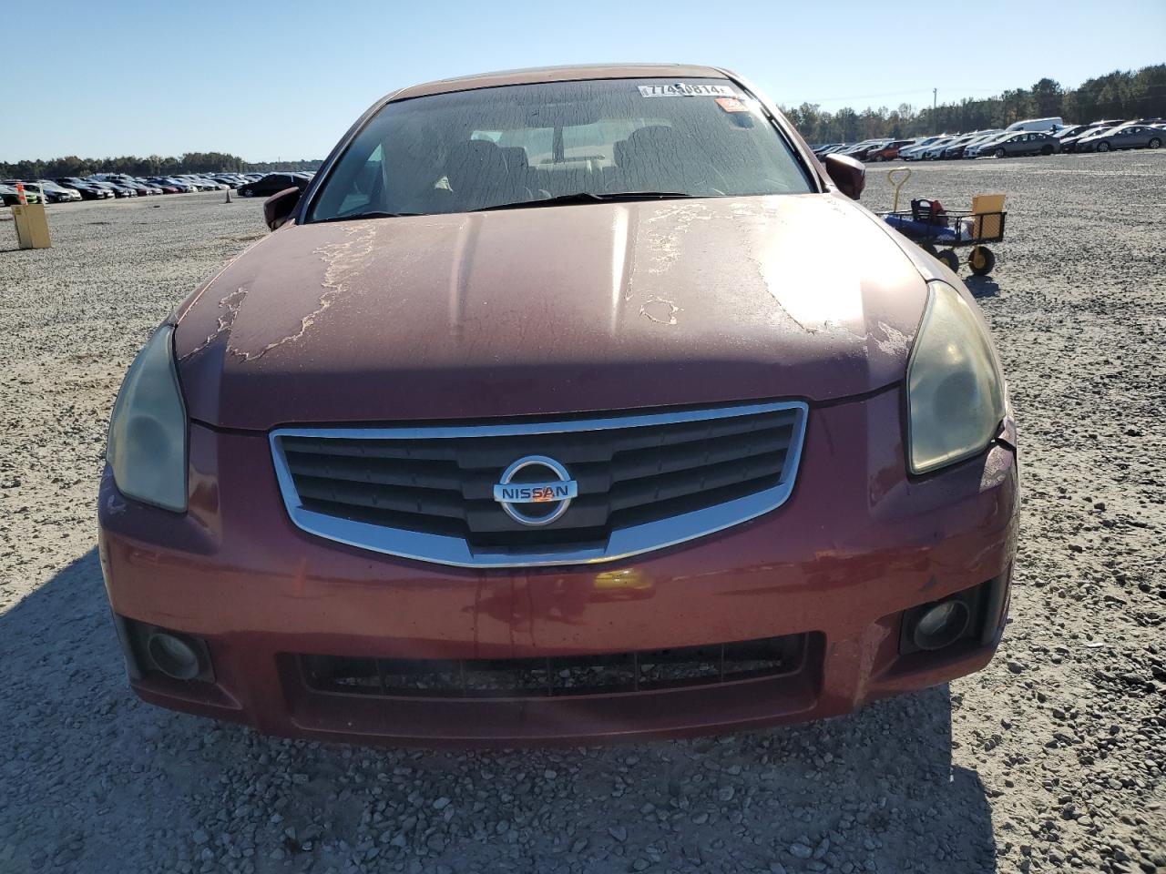 Lot #2943253941 2008 NISSAN MAXIMA SE