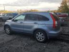 HONDA CR-V EXL photo