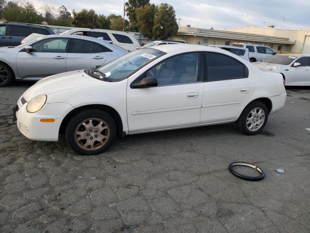 DODGE NEON SXT 2004 white  gas 1B3ES56C04D600693 photo #1