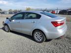 Lot #3004610348 2013 KIA RIO LX