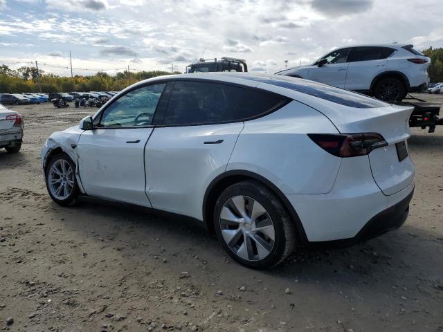 2023 TESLA MODEL Y - 7SAYGDEE6PA077249