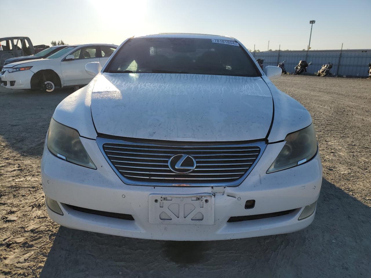 Lot #3025829332 2007 LEXUS LS 460L