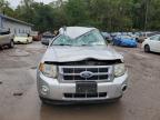 FORD ESCAPE XLT photo