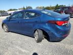 HYUNDAI ELANTRA SE photo