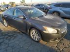 NISSAN MAXIMA S photo