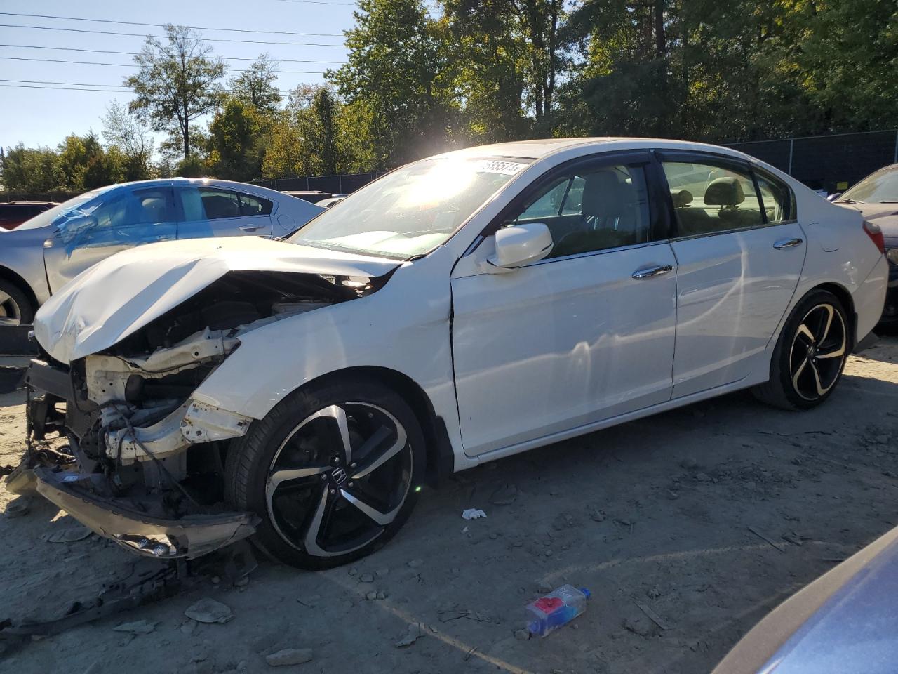 Lot #3027012762 2014 HONDA ACCORD EXL