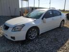 NISSAN MAXIMA SE photo