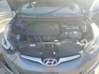 Lot #3004214830 2014 HYUNDAI ELANTRA SE