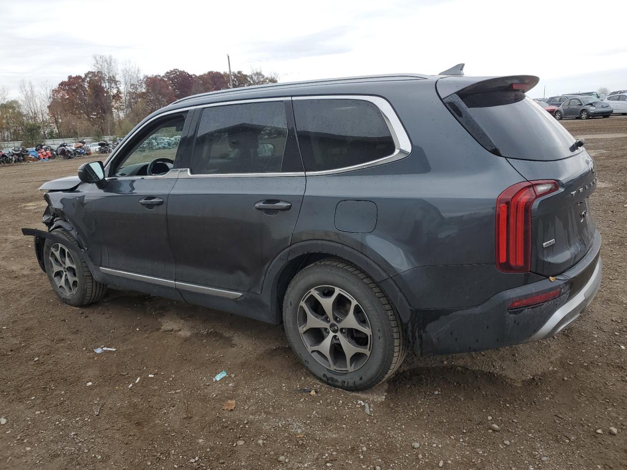 Lot #2952936770 2020 KIA TELLURIDE