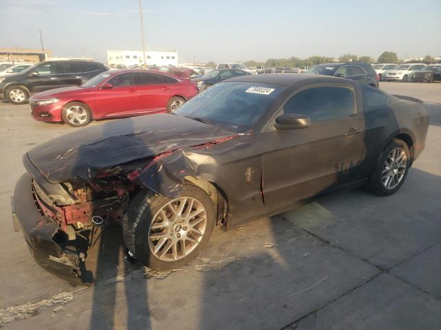 2013 FORD MUSTANG 2013