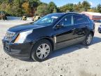 CADILLAC SRX LUXURY photo