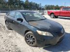 Lot #3023046223 2009 TOYOTA CAMRY BASE