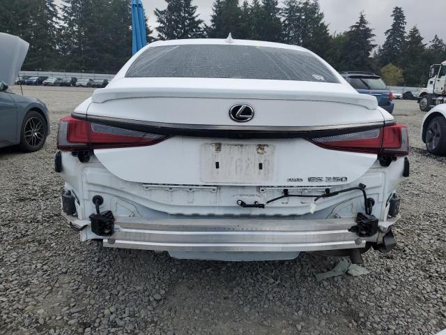 VIN 58AD11D1XPU011926 2023 LEXUS ES250 no.6