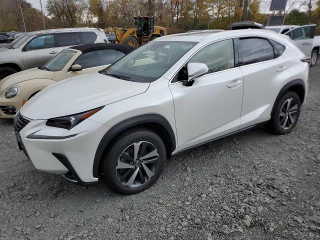 2020 LEXUS NX 300 #3024155833