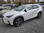 Lot #3024155833 2020 LEXUS NX 300