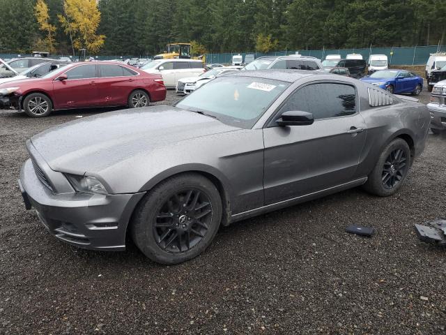 VIN 1ZVBP8AM0E5210481 2014 Ford Mustang no.1