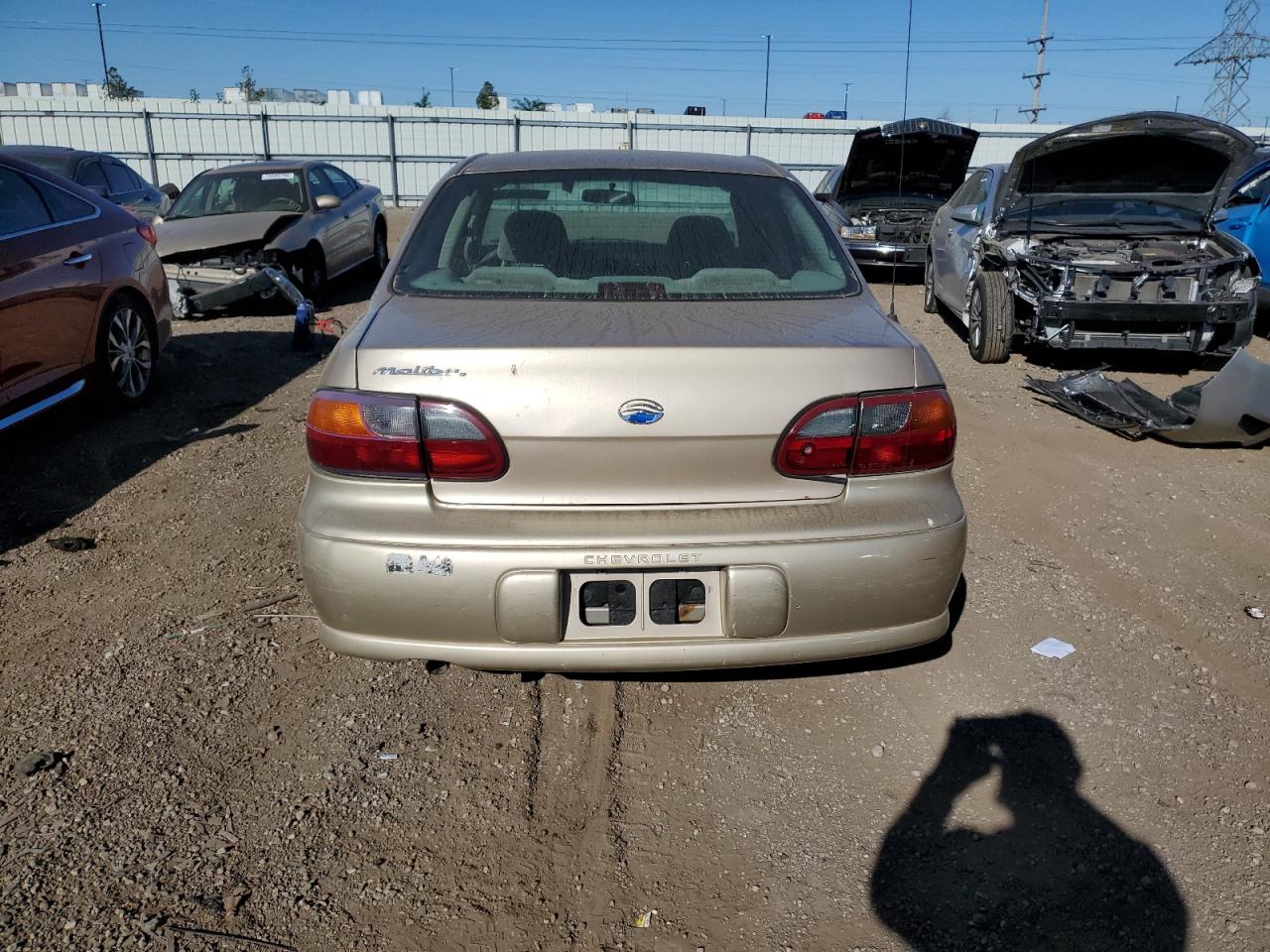 Lot #2998447882 2003 CHEVROLET MALIBU