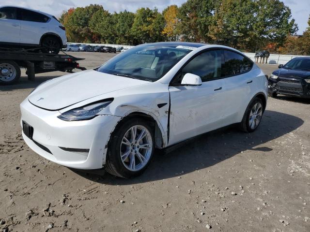 2023 TESLA MODEL Y - 7SAYGDEE6PA077249