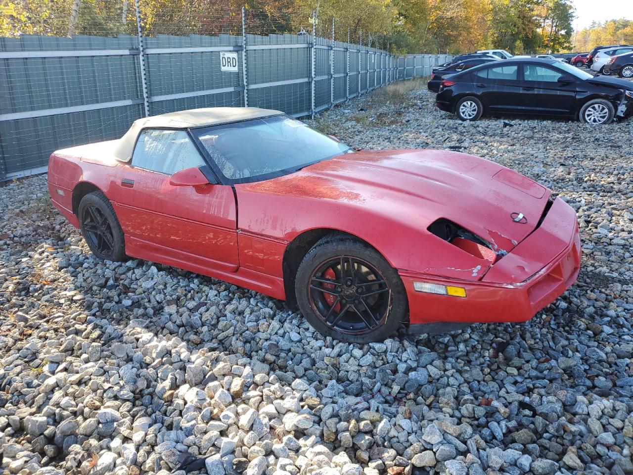 Lot #2923196081 1990 CHEVROLET CORVETTE