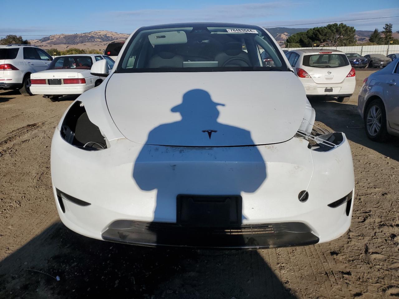 Lot #3025697372 2024 TESLA MODEL Y