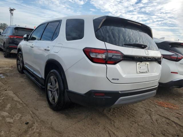 2024 HONDA PILOT EXL - 5FNYG1H49RB032102