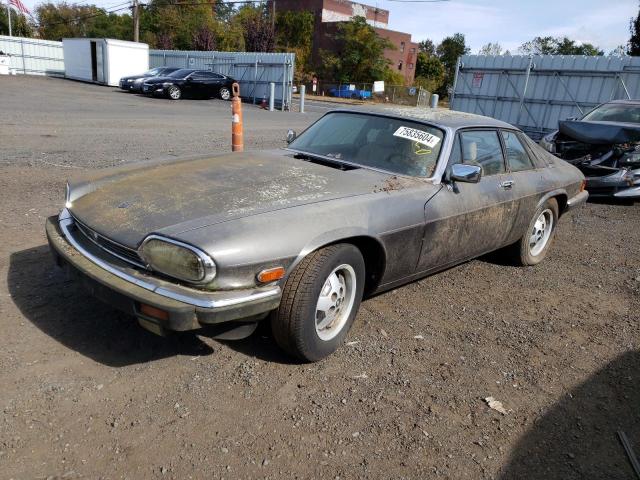 JAGUAR XJS 1986 gray  gas SAJNV5841GC129631 photo #1